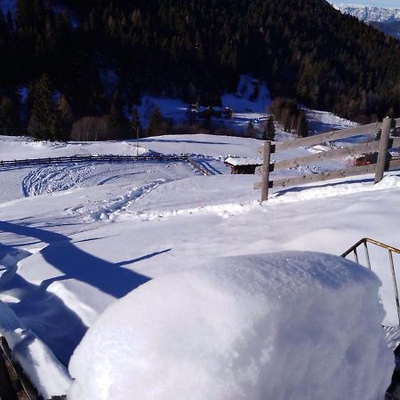 Baita del Nonno dei Pitoi Villa Bedollo Eksteriør billede