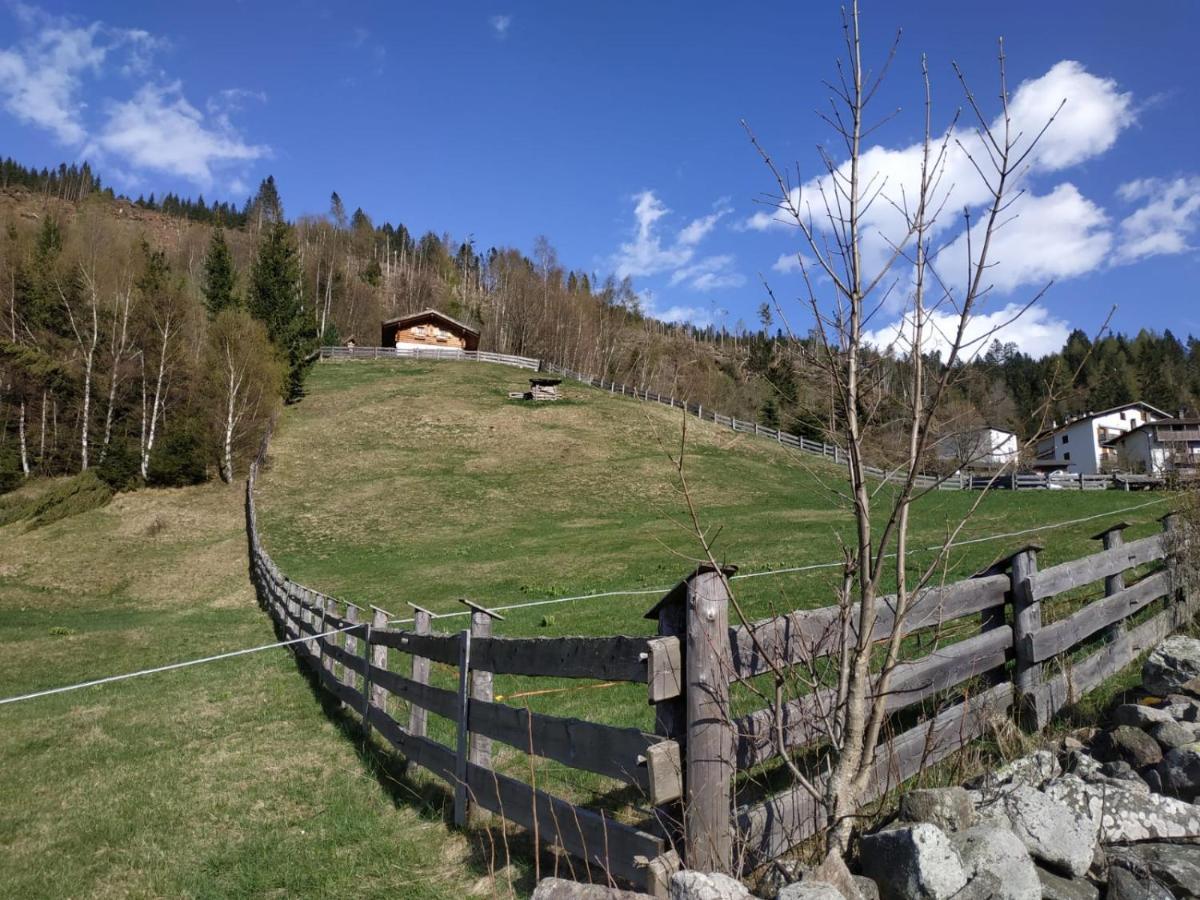 Baita del Nonno dei Pitoi Villa Bedollo Eksteriør billede